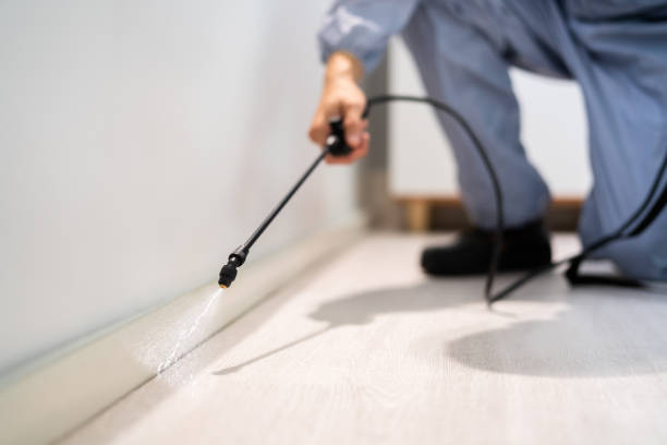 Licensed Mosquito Control service in Woodlawn, VA - Show Me Pest Control