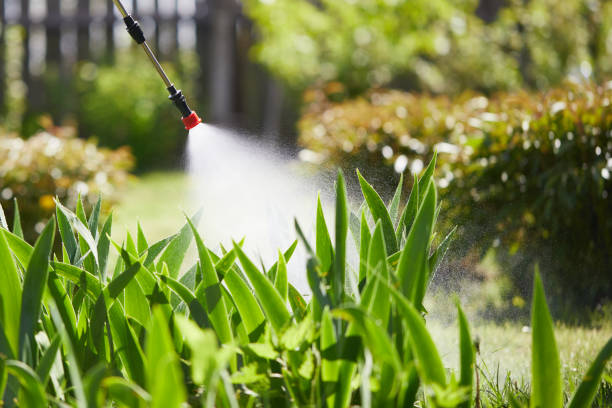 24/7 Emergency Mosquito Control experts in Woodlawn, VA