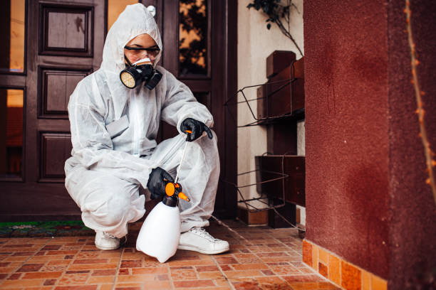 Reliable Mosquito Control contractor in Woodlawn, VA by Show Me Pest Control